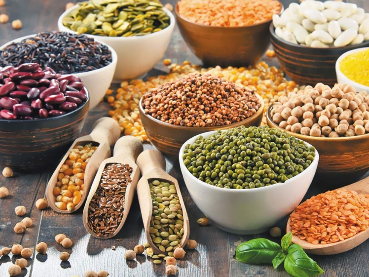 آشنایی با گوشت و پروتئین گیاهی