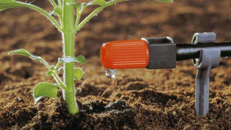 مدیریت فشار یکنواخت در آبیاری قطره‌ای در زمین‌های ناهموار