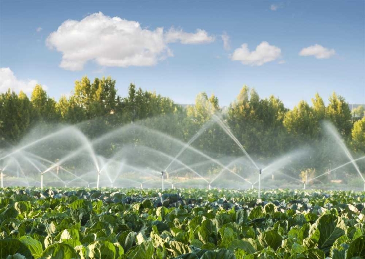 معرفی انواع سیستمهای آبیاری