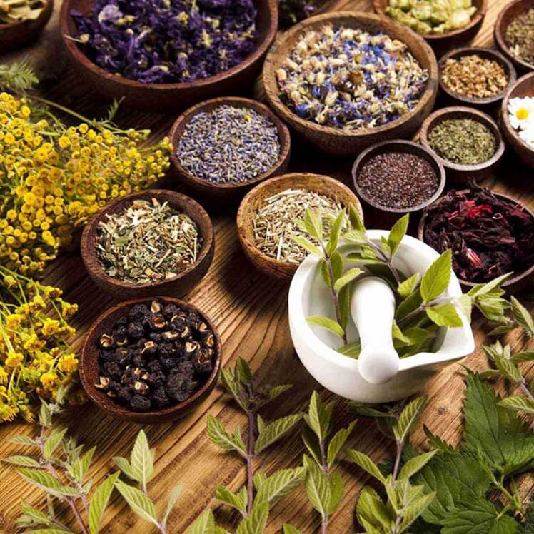 گیاهان پر مصرف دارویی: شناسایی و فواید