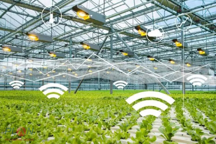 سیستم‌های هوشمند آبیاری قطره‌ای، راهکاری برای باغبانی پایدار