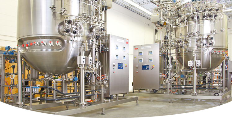 تولید گوشت آزمایشگاهی: گوشت سنتز شده چیست