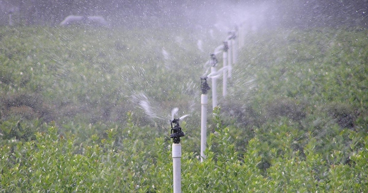 راهنمای جامع تجهیزات فیلتراسیون در سیستم‌های آبیاری تحت فشار