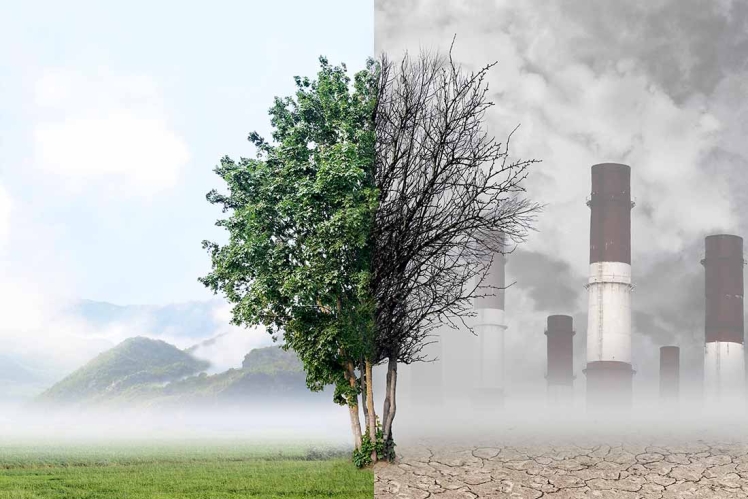 تأثیر طراحی محیط بر سلامت روان: نقش نور، رنگ و بافت