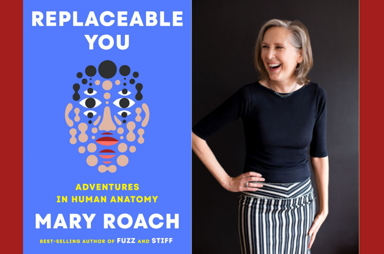 معرفی کتاب: نسخه جایگزین تو 